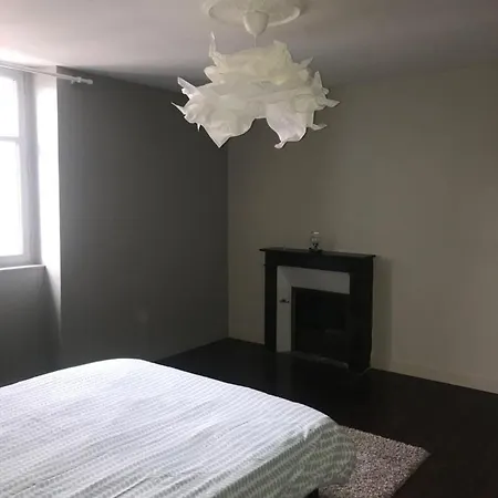 Apartment Grand 3 Coeur De Poitiers