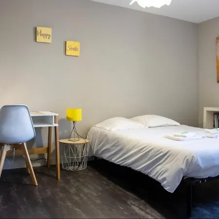 Apartment Grand 3 Coeur De Poitiers